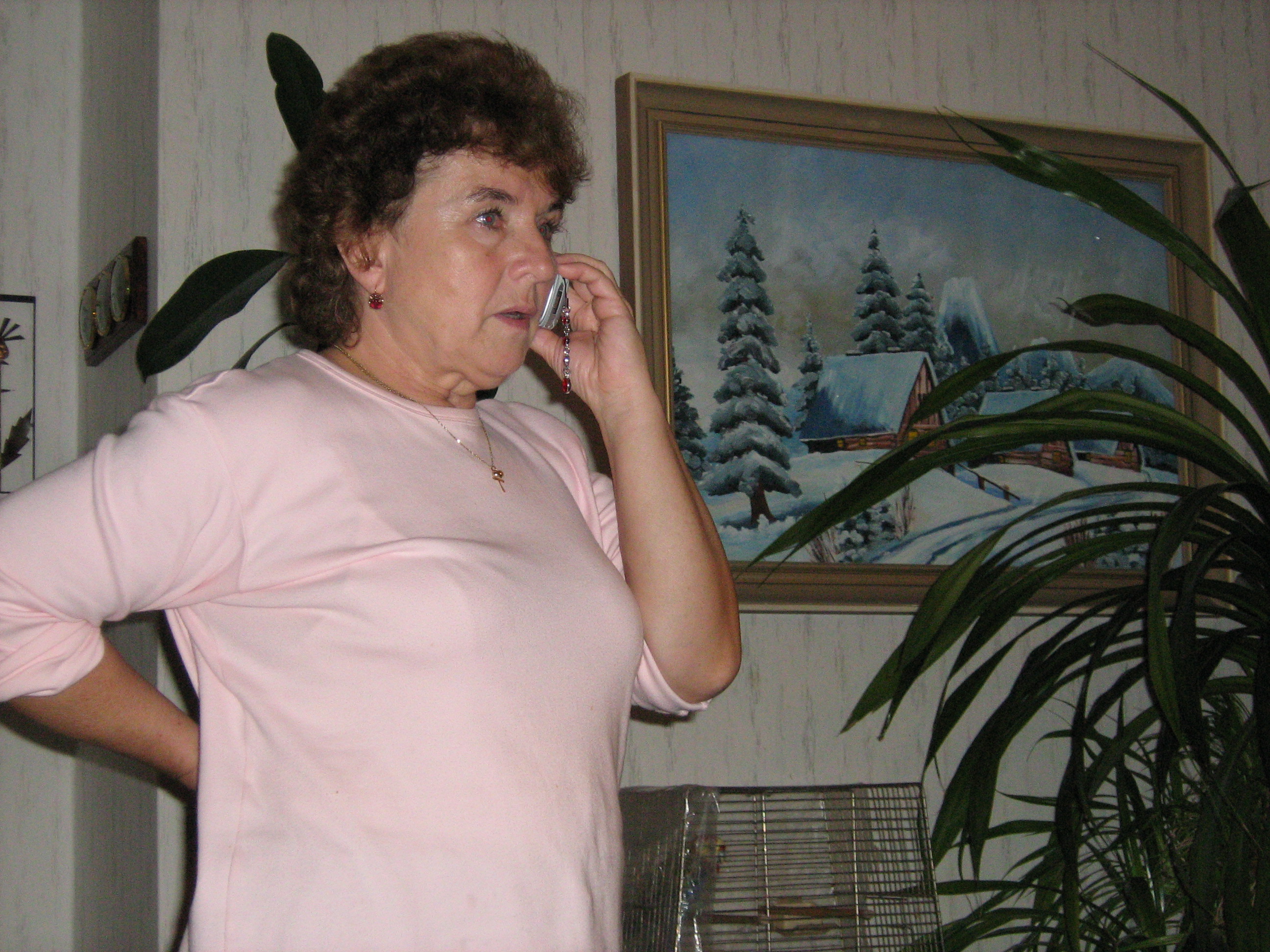Babiččina SD 002.jpg
